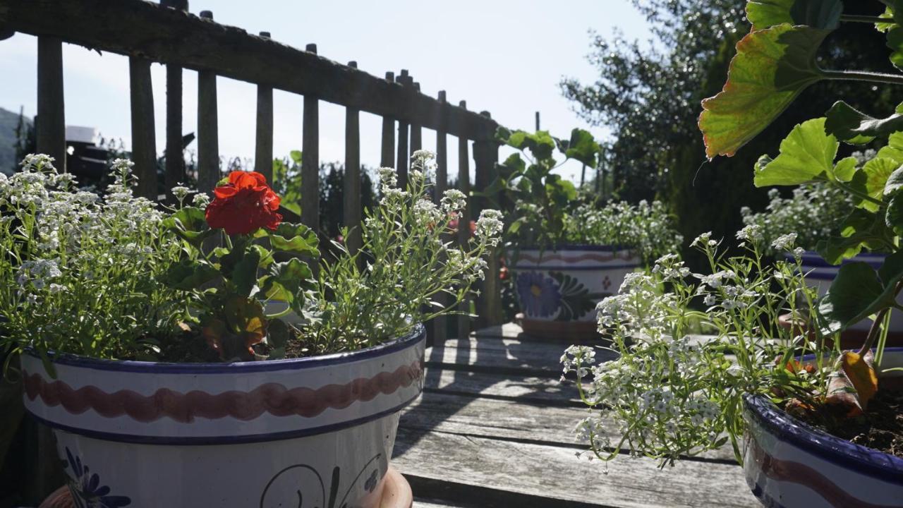Casa Madrazo Con Piscina Y Parrillas Praves Bagian luar foto